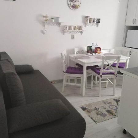 La Monica 2 - Cazare Straja - Lupeni - Retezat - Parang Apartment Luaran gambar