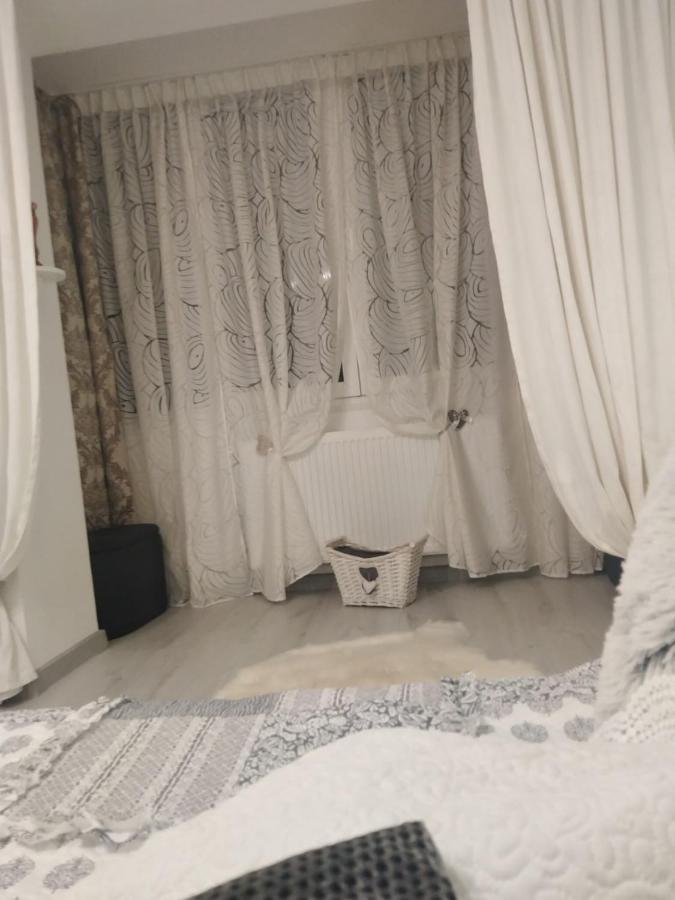 La Monica 2 - Cazare Straja - Lupeni - Retezat - Parang Apartment Luaran gambar