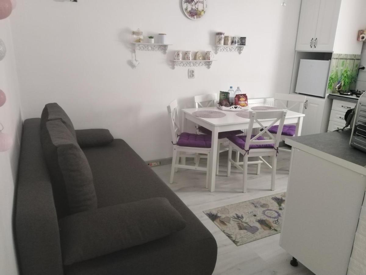 La Monica 2 - Cazare Straja - Lupeni - Retezat - Parang Apartment Luaran gambar